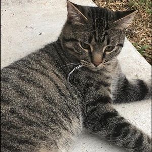 Meet your Posher, Mariah